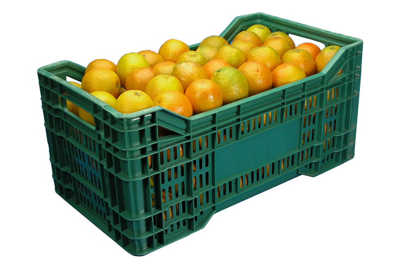 limpeza caixa plastica alimentos